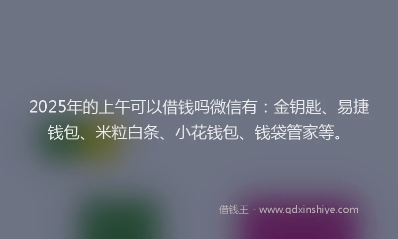 2025年的上午可以借钱吗微信有：金钥匙、易捷钱包、米粒白条、小花钱包、钱袋管家等。