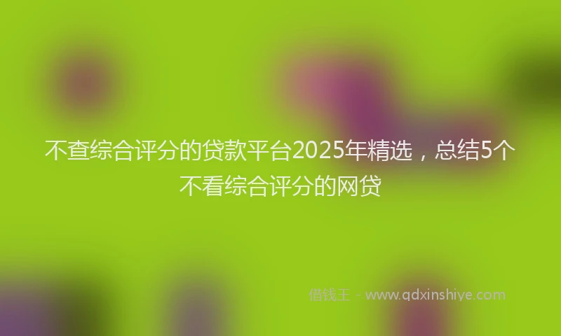 不查综合评分的贷款平台2025年精选，总结5个不看综合评分的网贷