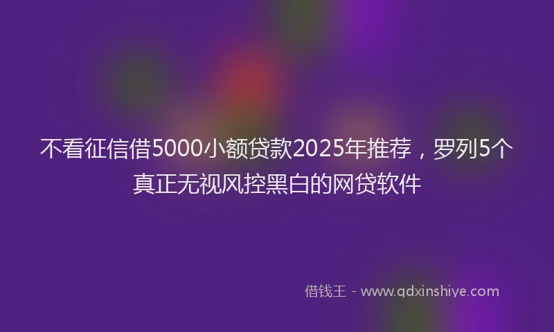 不看征信借5000小额贷款2025年推荐，罗列5个真正无视风控黑白的网贷软件