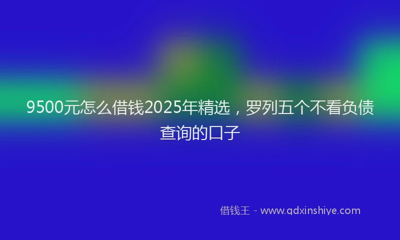 9500元怎么借钱2025年精选，罗列五个不看负债查询的口子