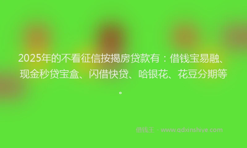 2025年的不看征信按揭房贷款有：借钱宝易融、现金秒贷宝盒、闪借快贷、哈银花、花豆分期等。