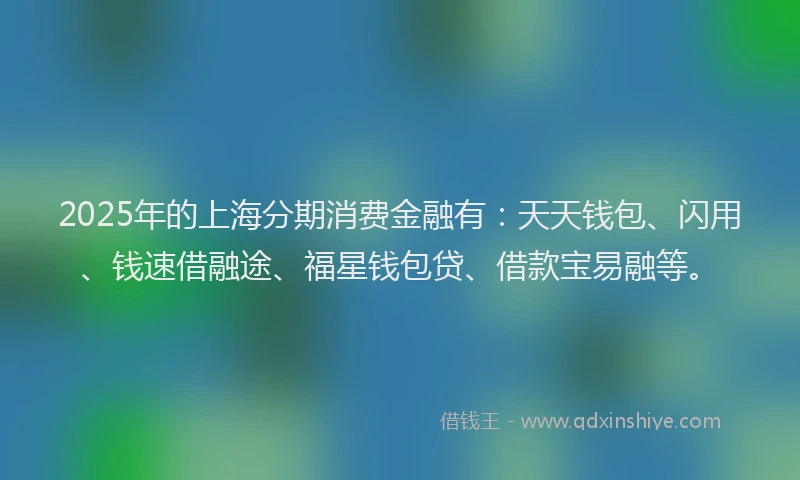 2025年的上海分期消费金融有：天天钱包、闪用、钱速借融途、福星钱包贷、借款宝易融等。
