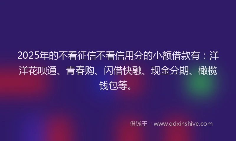 2025年的不看征信不看信用分的小额借款有：洋洋花呗通、青春购、闪借快融、现金分期、橄榄钱包等。