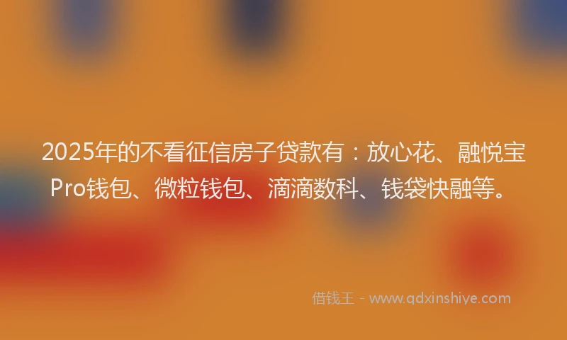 2025年的不看征信房子贷款有：放心花、融悦宝Pro钱包、微粒钱包、滴滴数科、钱袋快融等。