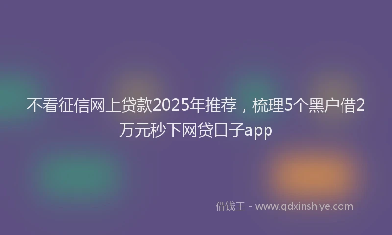 不看征信网上贷款2025年推荐，梳理5个黑户借2万元秒下网贷口子app