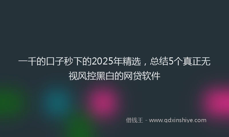 一千的口子秒下的2025年精选，总结5个真正无视风控黑白的网贷软件
