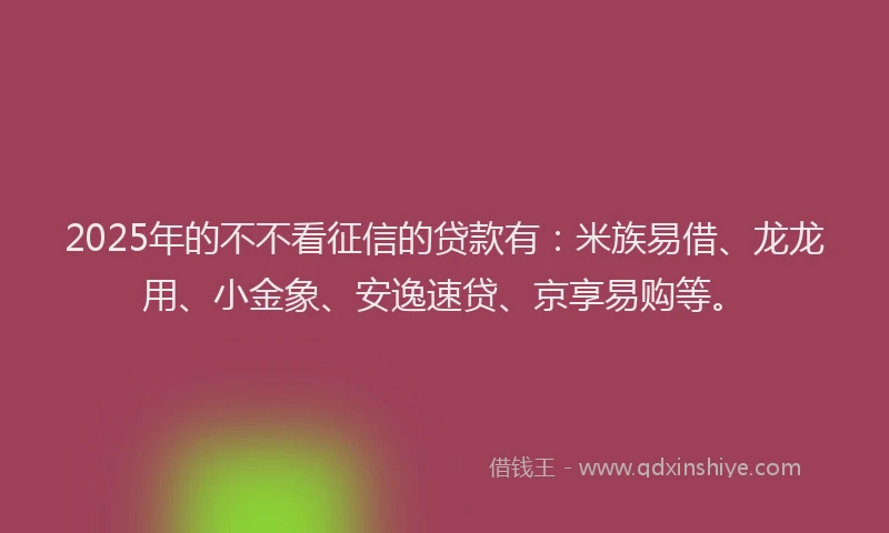 2025年的不不看征信的贷款有：米族易借、龙龙用、小金象、安逸速贷、京享易购等。