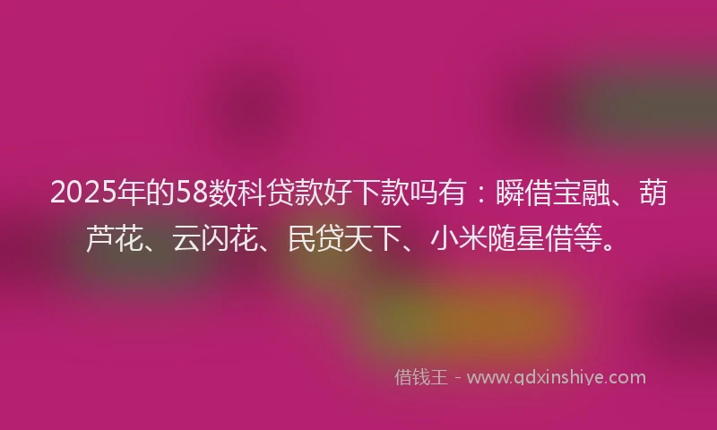 2025年的58数科贷款好下款吗有：瞬借宝融、葫芦花、云闪花、民贷天下、小米随星借等。
