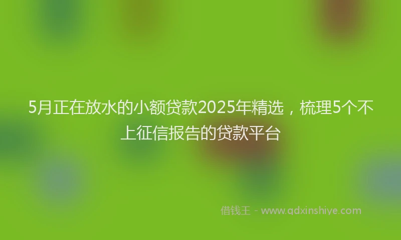 5月正在放水的小额贷款2025年精选，梳理5个不上征信报告的贷款平台