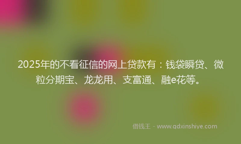 2025年的不看征信的网上贷款有：钱袋瞬贷、微粒分期宝、龙龙用、支富通、融e花等。