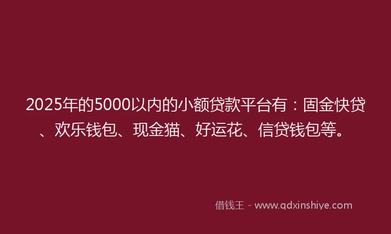 2025年的5000以内的小额贷款平台有：固金快贷、欢乐钱包、现金猫、好运花、信贷钱包等。