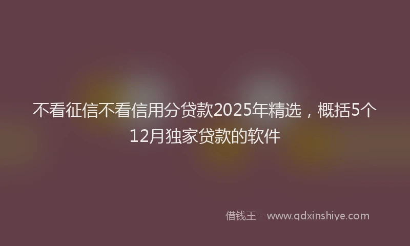 不看征信不看信用分贷款2025年精选，概括5个12月独家贷款的软件