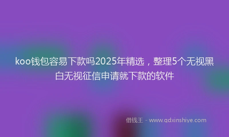 koo钱包容易下款吗2025年精选，整理5个无视黑白无视征信申请就下款的软件