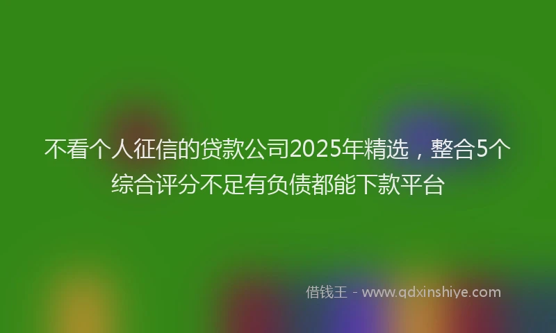 不看个人征信的贷款公司2025年精选，整合5个综合评分不足有负债都能下款平台
