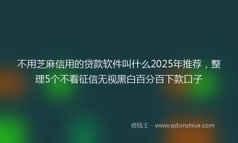不用芝麻信用的贷款软件叫什么2025年推荐，整理5个不看征信无视黑白百分百下款口子