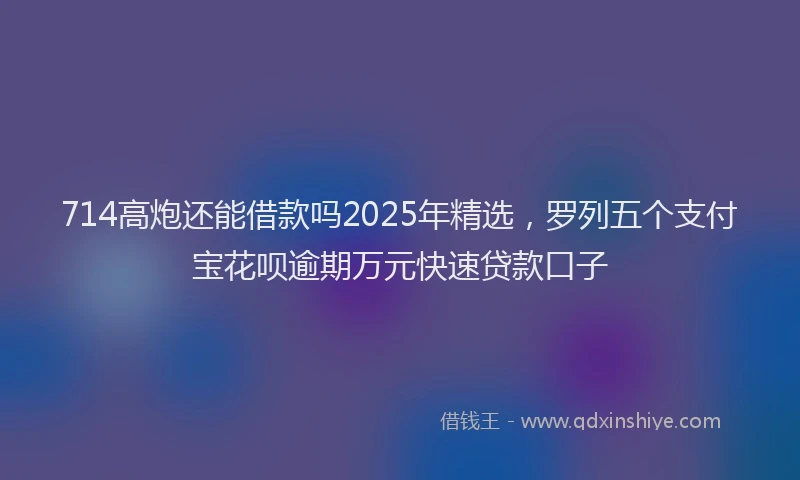 714高炮还能借款吗2025年精选，罗列五个支付宝花呗逾期万元快速贷款口子