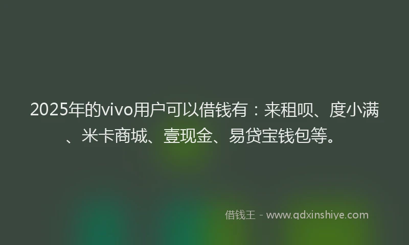 2025年的vivo用户可以借钱有：来租呗、度小满、米卡商城、壹现金、易贷宝钱包等。