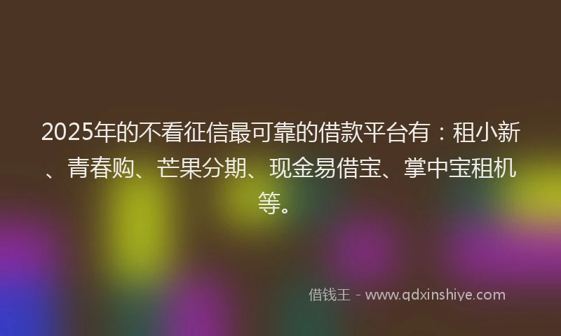 2025年的不看征信最可靠的借款平台有：租小新、青春购、芒果分期、现金易借宝、掌中宝租机等。