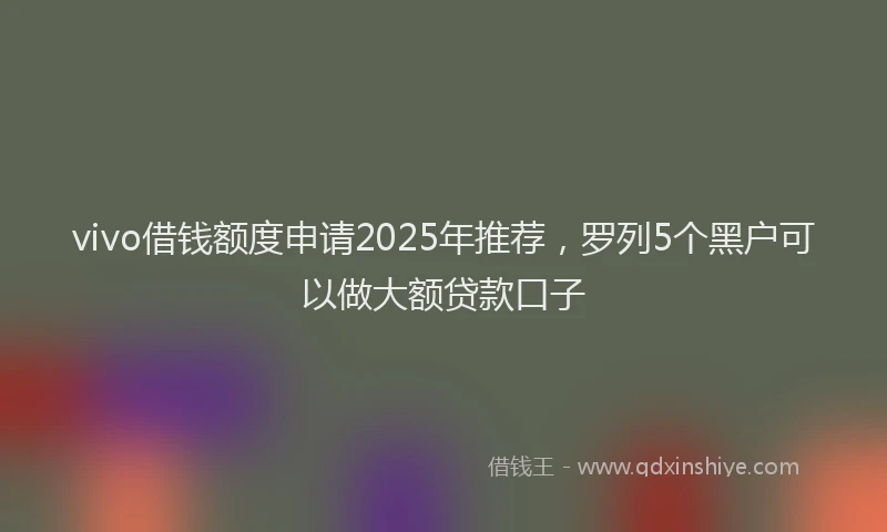 vivo借钱额度申请2025年推荐，罗列5个黑户可以做大额贷款口子