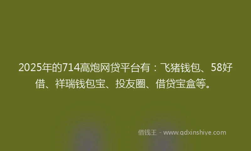 2025年的714高炮网贷平台有：飞猪钱包、58好借、祥瑞钱包宝、投友圈、借贷宝盒等。