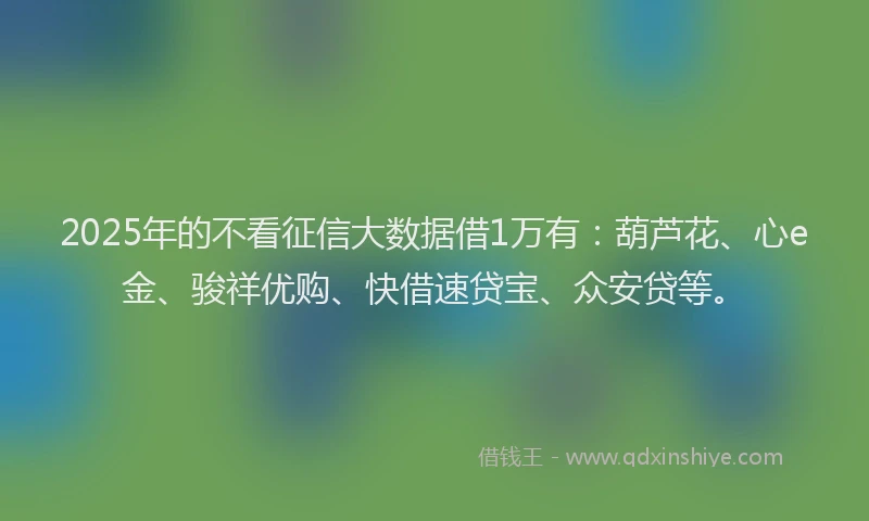 2025年的不看征信大数据借1万有：葫芦花、心e金、骏祥优购、快借速贷宝、众安贷等。