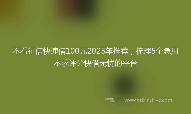 不看征信快速借100元2025年推荐，梳理5个急用不求评分快借无忧的平台