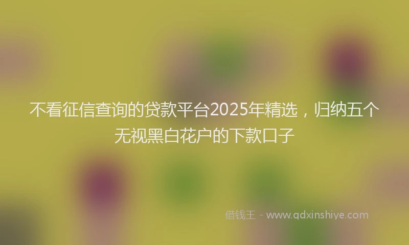 不看征信查询的贷款平台2025年精选，归纳五个无视黑白花户的下款口子