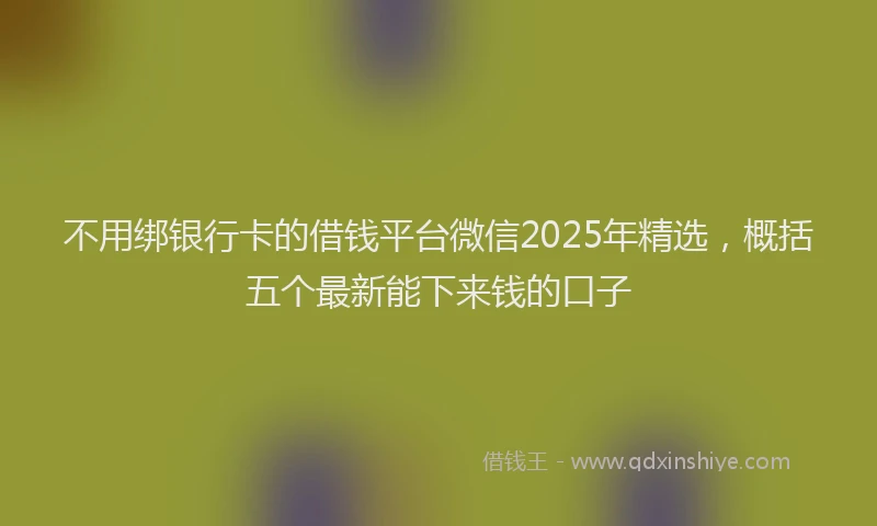 不用绑银行卡的借钱平台微信2025年精选，概括五个最新能下来钱的口子