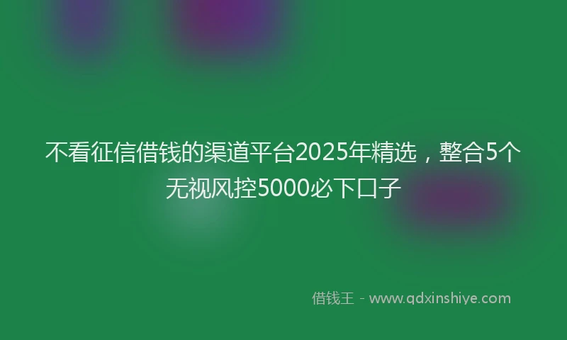 不看征信借钱的渠道平台2025年精选，整合5个无视风控5000必下口子