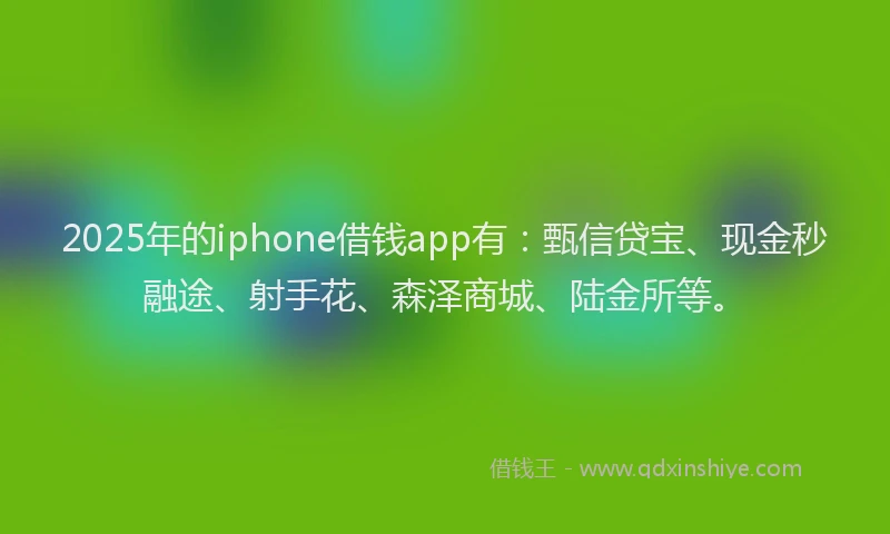 2025年的iphone借钱app有：甄信贷宝、现金秒融途、射手花、森泽商城、陆金所等。