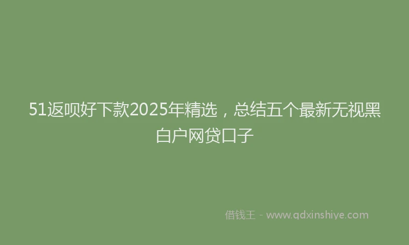 51返呗好下款2025年精选，总结五个最新无视黑白户网贷口子