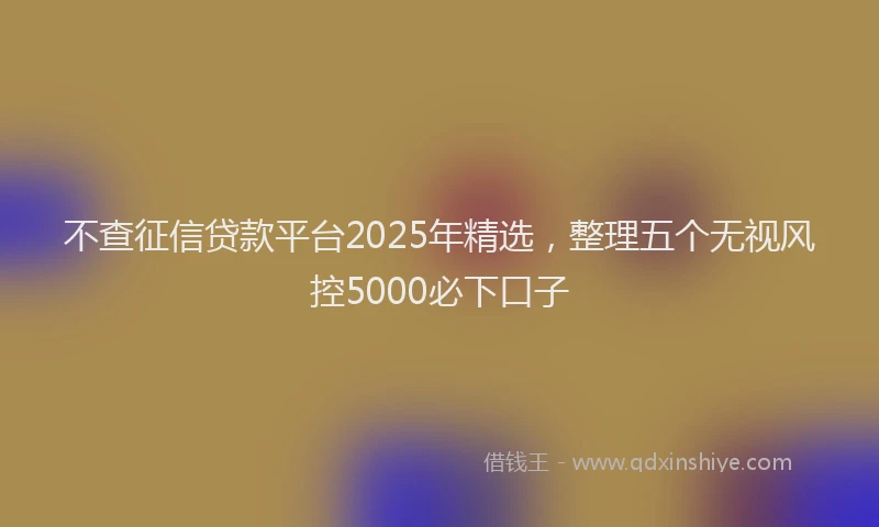 不查征信贷款平台2025年精选，整理五个无视风控5000必下口子