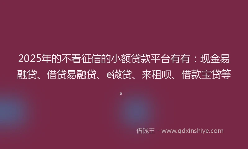2025年的不看征信的小额贷款平台有有：现金易融贷、借贷易融贷、e微贷、来租呗、借款宝贷等。