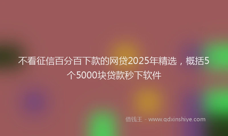 不看征信百分百下款的网贷2025年精选，概括5个5000块贷款秒下软件