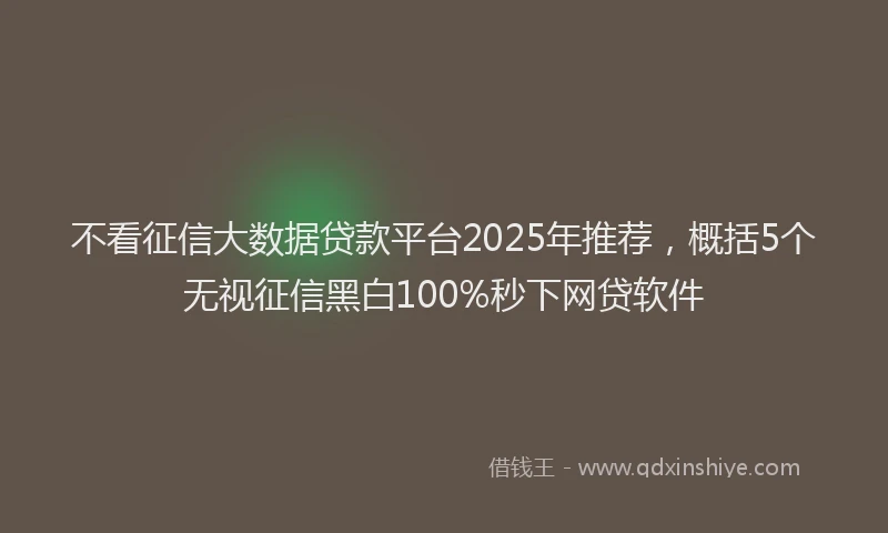 不看征信大数据贷款平台2025年推荐，概括5个无视征信黑白100%秒下网贷软件