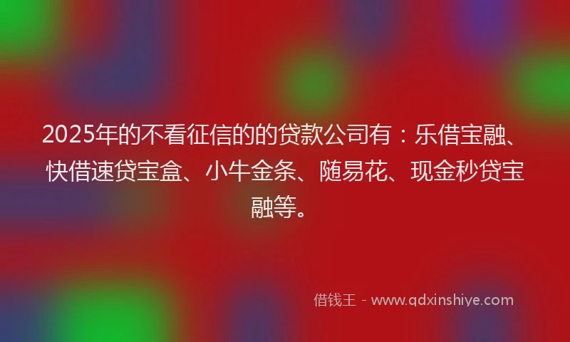 2025年的不看征信的的贷款公司有：乐借宝融、快借速贷宝盒、小牛金条、随易花、现金秒贷宝融等。
