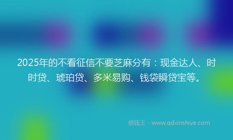 2025年的不看征信不要芝麻分有：现金达人、时时贷、琥珀贷、多米易购、钱袋瞬贷宝等。