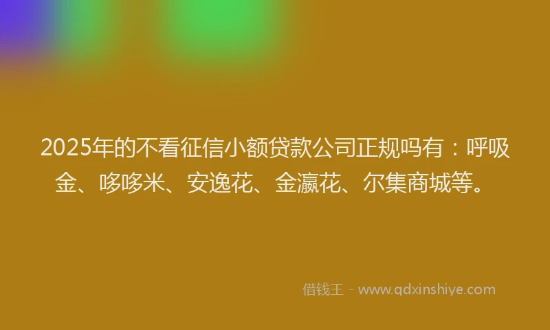 2025年的不看征信小额贷款公司正规吗有：呼吸金、哆哆米、安逸花、金瀛花、尔集商城等。