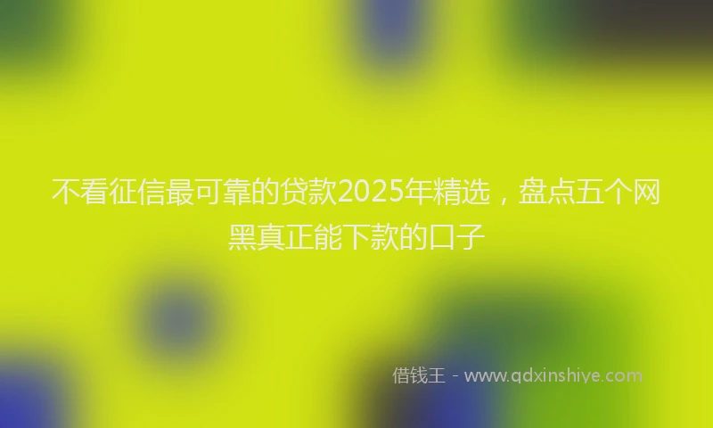 不看征信最可靠的贷款2025年精选，盘点五个网黑真正能下款的口子