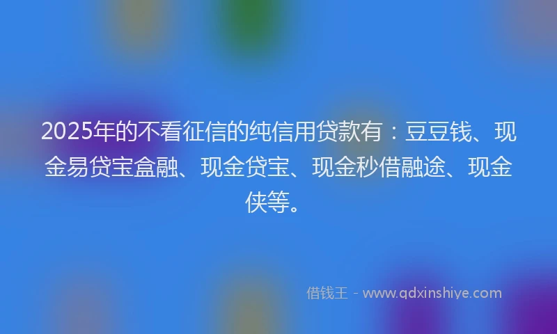2025年的不看征信的纯信用贷款有：豆豆钱、现金易贷宝盒融、现金贷宝、现金秒借融途、现金侠等。