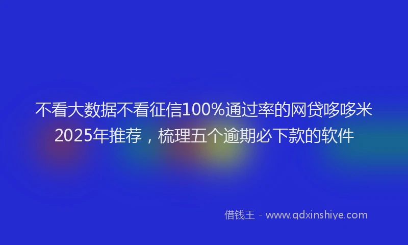 不看大数据不看征信100%通过率的网贷哆哆米2025年推荐，梳理五个逾期必下款的软件