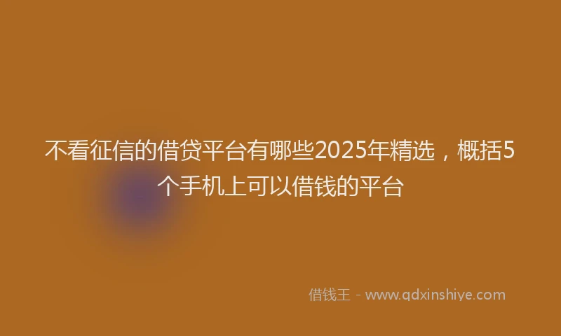 不看征信的借贷平台有哪些2025年精选，概括5个手机上可以借钱的平台
