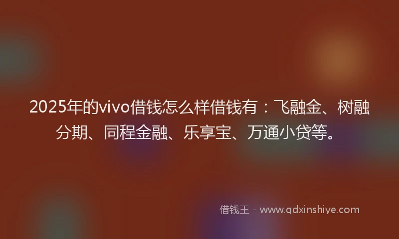 2025年的vivo借钱怎么样借钱有：飞融金、树融分期、同程金融、乐享宝、万通小贷等。