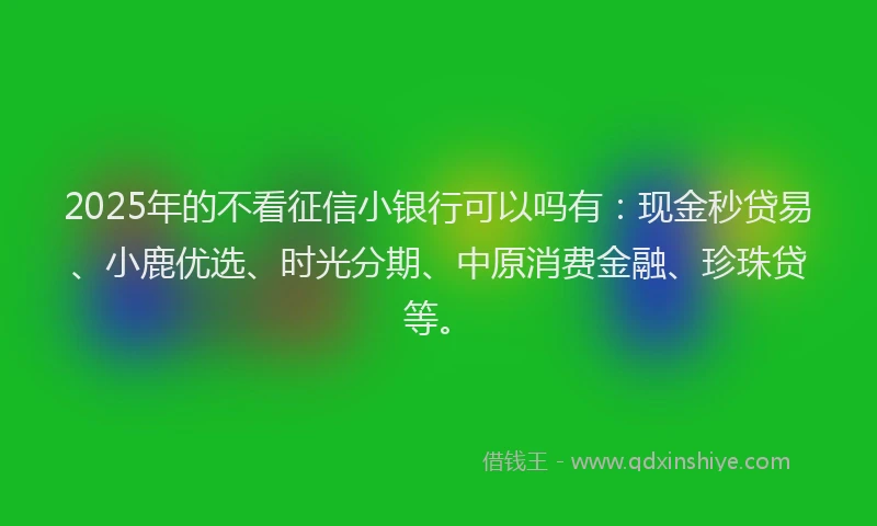 2025年的不看征信小银行可以吗有：现金秒贷易、小鹿优选、时光分期、中原消费金融、珍珠贷等。