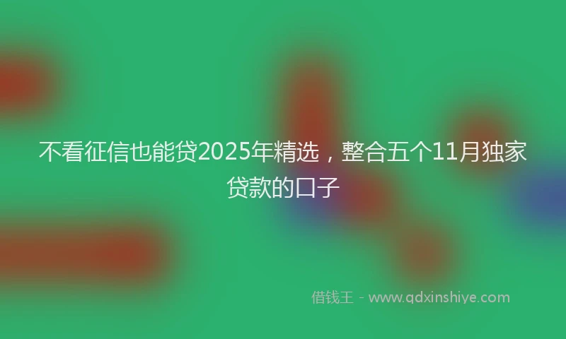 不看征信也能贷2025年精选，整合五个11月独家贷款的口子