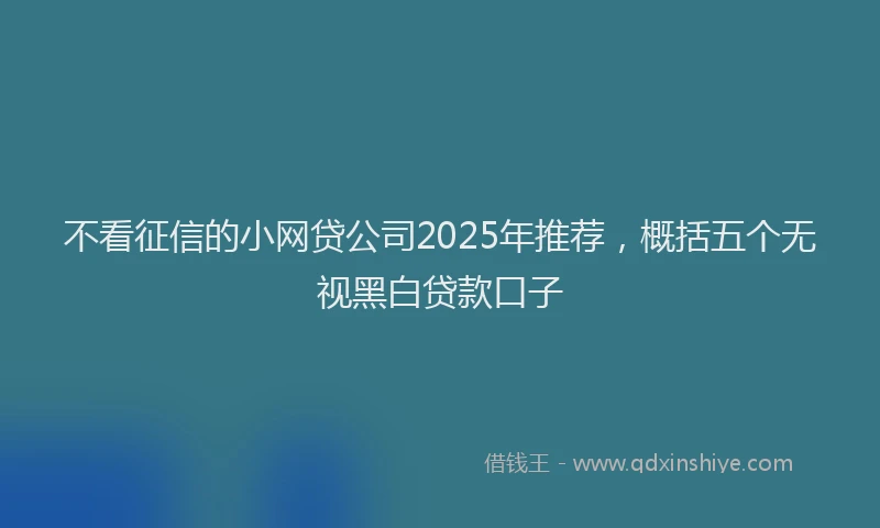 不看征信的小网贷公司2025年推荐，概括五个无视黑白贷款口子