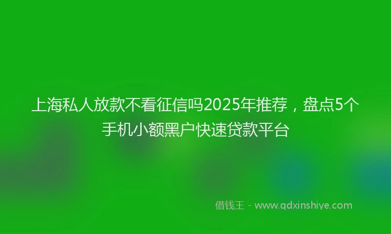 上海私人放款不看征信吗2025年推荐，盘点5个手机小额黑户快速贷款平台