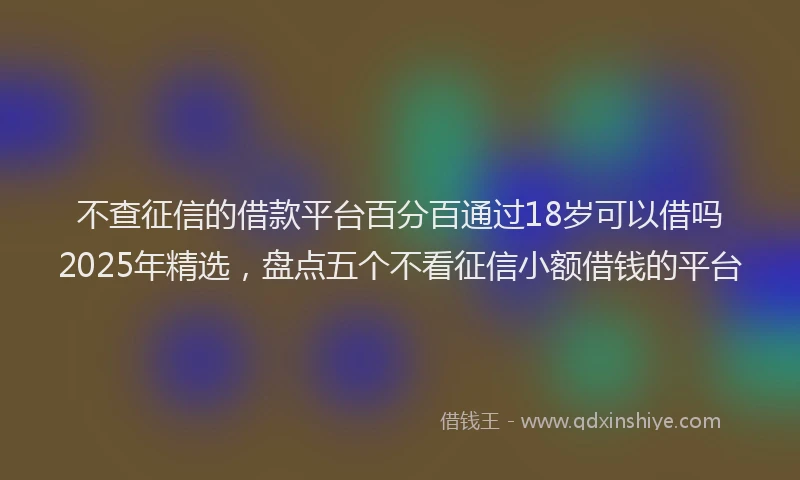 不查征信的借款平台百分百通过18岁可以借吗2025年精选，盘点五个不看征信小额借钱的平台