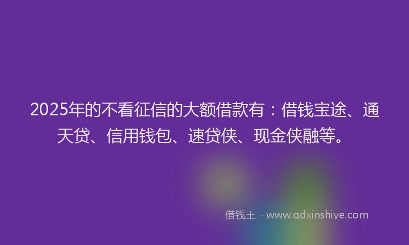 2025年的不看征信的大额借款有：借钱宝途、通天贷、信用钱包、速贷侠、现金侠融等。