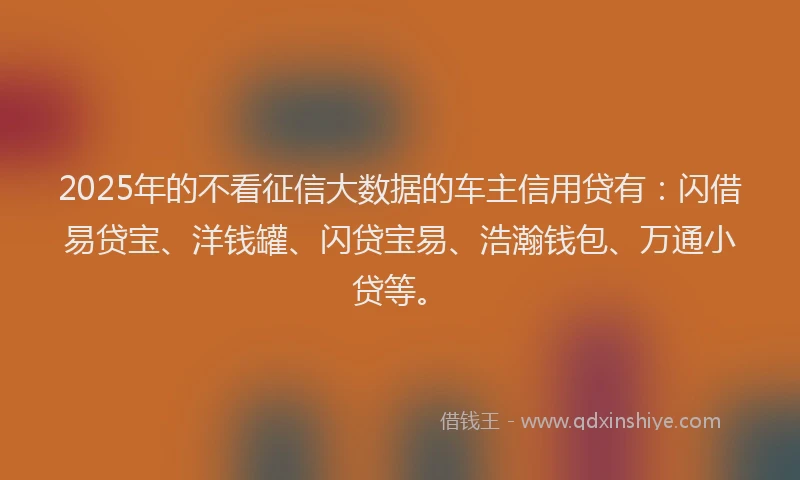2025年的不看征信大数据的车主信用贷有：闪借易贷宝、洋钱罐、闪贷宝易、浩瀚钱包、万通小贷等。